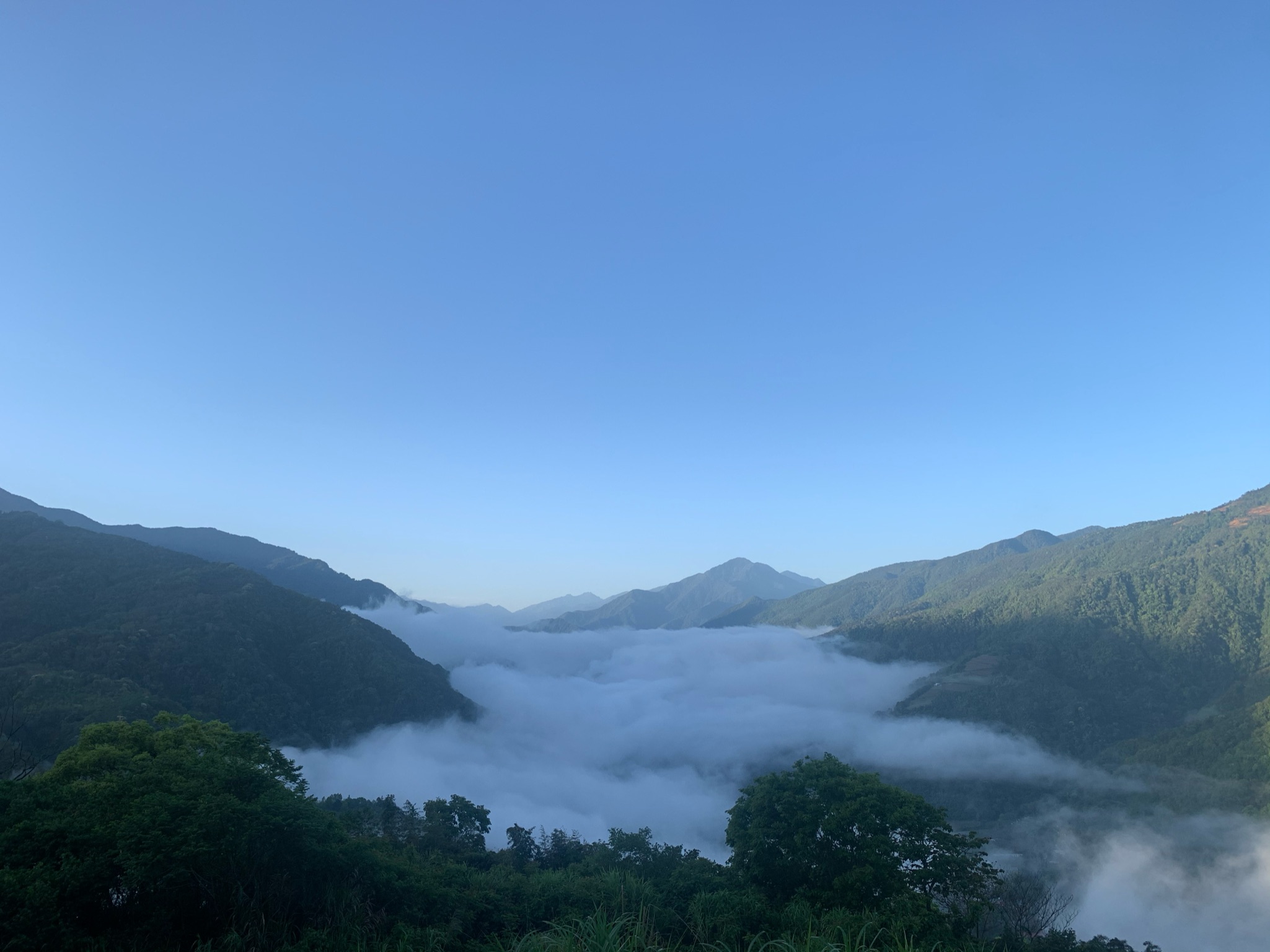 武界雲海景觀 雲窩森林露營區清晨棉花糖雲海