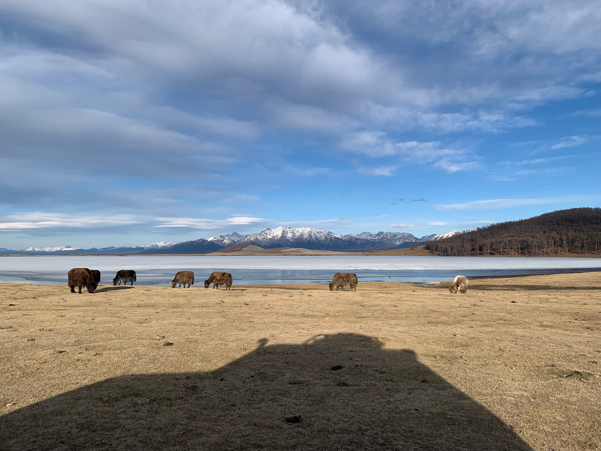 Day 1 - 越野車12小時,從木倫到查幹諾爾村 | 蒙古馴鹿部落半自助 1 氂牛、荒原、湖水與雪山