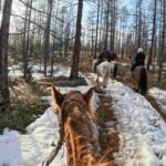 中途一陣混亂我的馬差點馱著我逃走，後來又都給Ganbaa牽著了