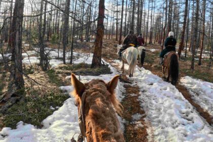 Day 2 - 騎馬5小時?!穿過邊境守衛隊終於抵達蒙俄邊境查坦人遊牧的森林 | 蒙古馴鹿部落半自助 4 中途一陣混亂我的馬差點馱著我逃走,後來又都給Ganbaa牽著了