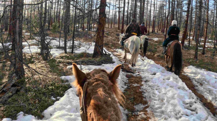 中途一陣混亂我的馬差點馱著我逃走，後來又都給Ganbaa牽著了
