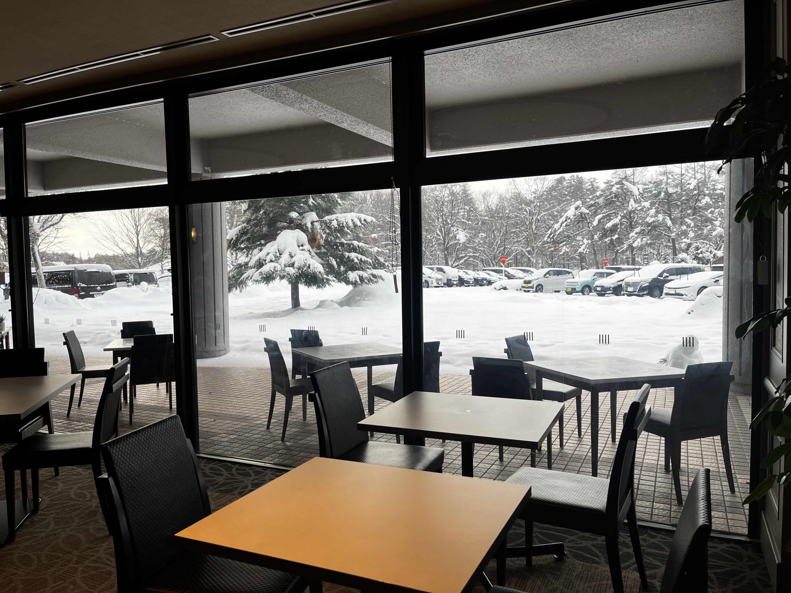 早餐選擇窗邊可以欣賞一整片雪白的景色