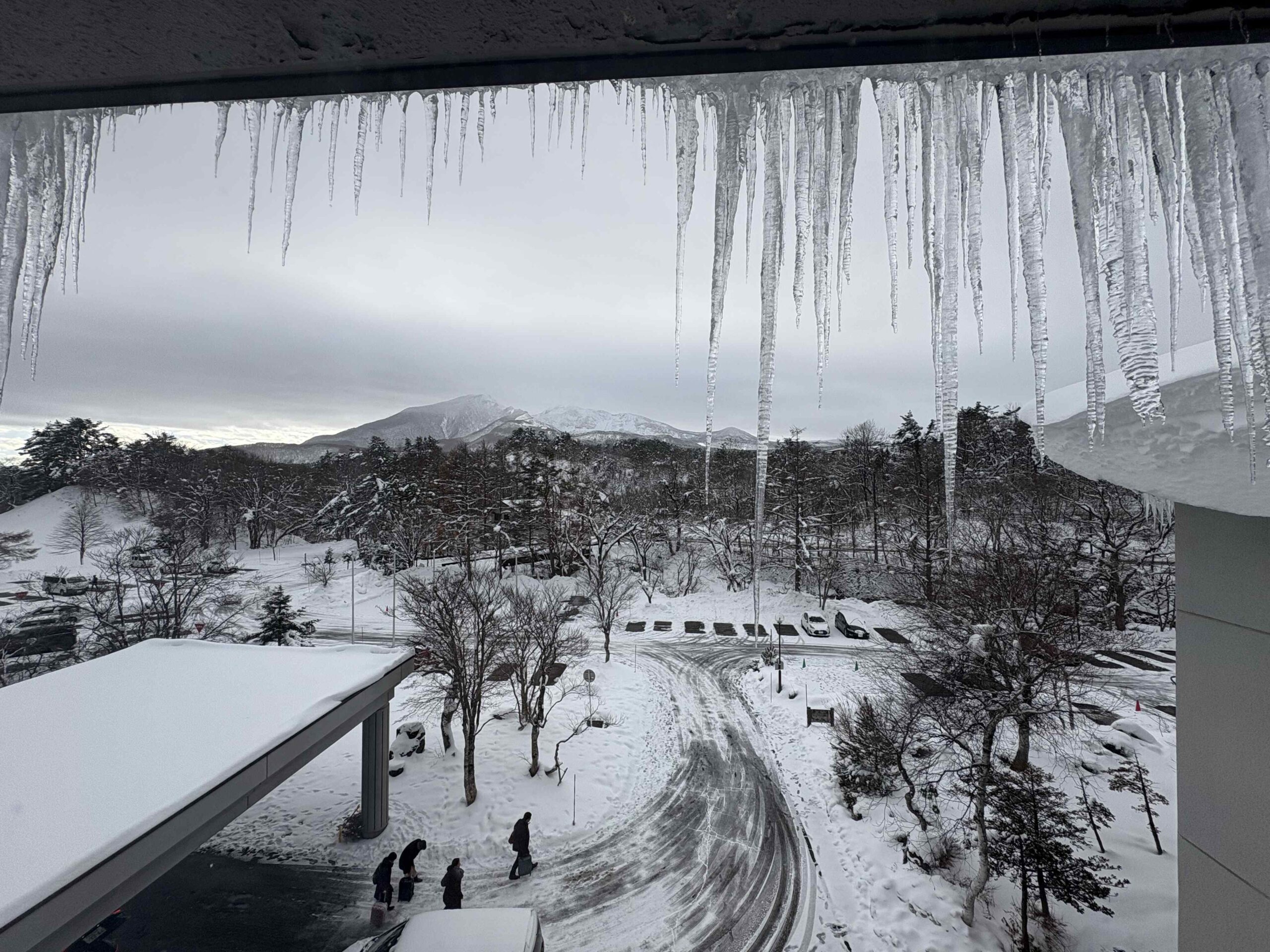 房間窗外一整排冰柱