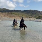 墾丁悠客馬場的野外騎馬涉溪戶外體驗