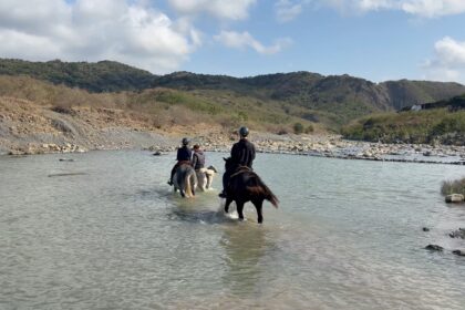 想在台灣野騎?從北到南都可以體驗到沙灘、溯溪、森林等不同的野外騎馬體驗!3家台灣馬場、3個不同的國外戶外騎乘體驗分享 4 墾丁悠客馬場的野外騎馬涉溪戶外體驗