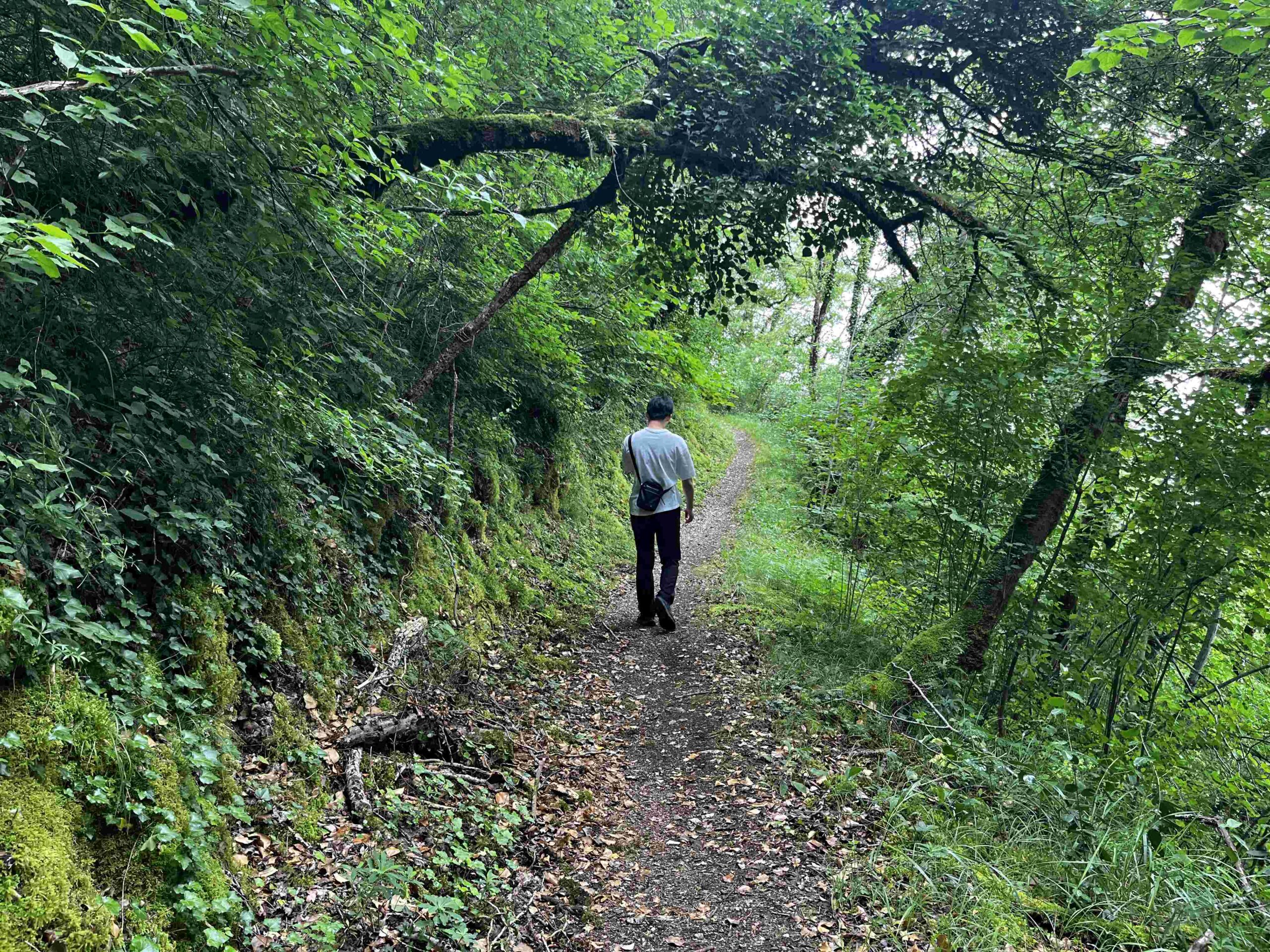 Château de la Treyne的私人森林步道