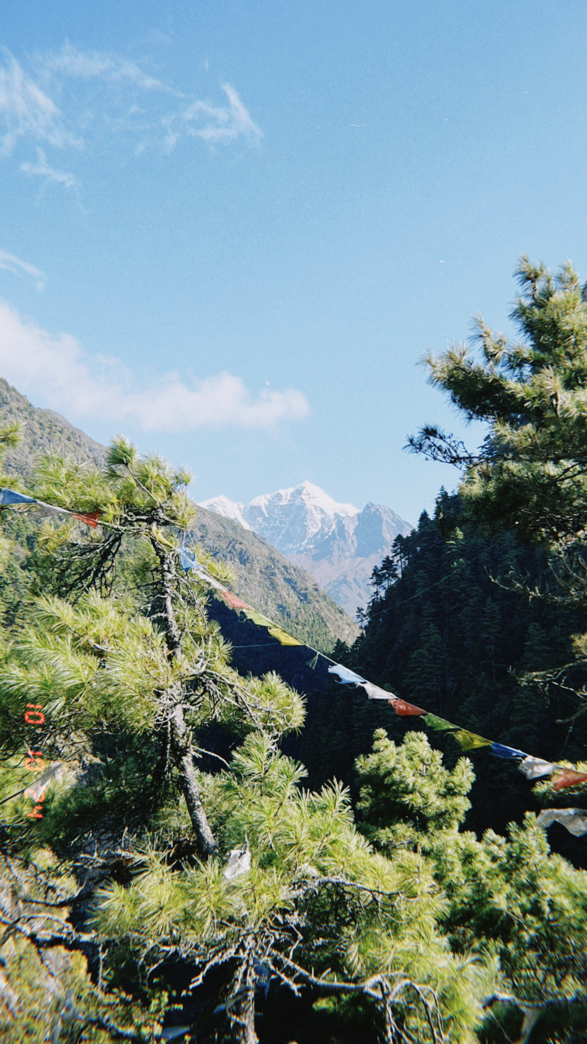 不敢相信我在更近的距離看過這雪山
