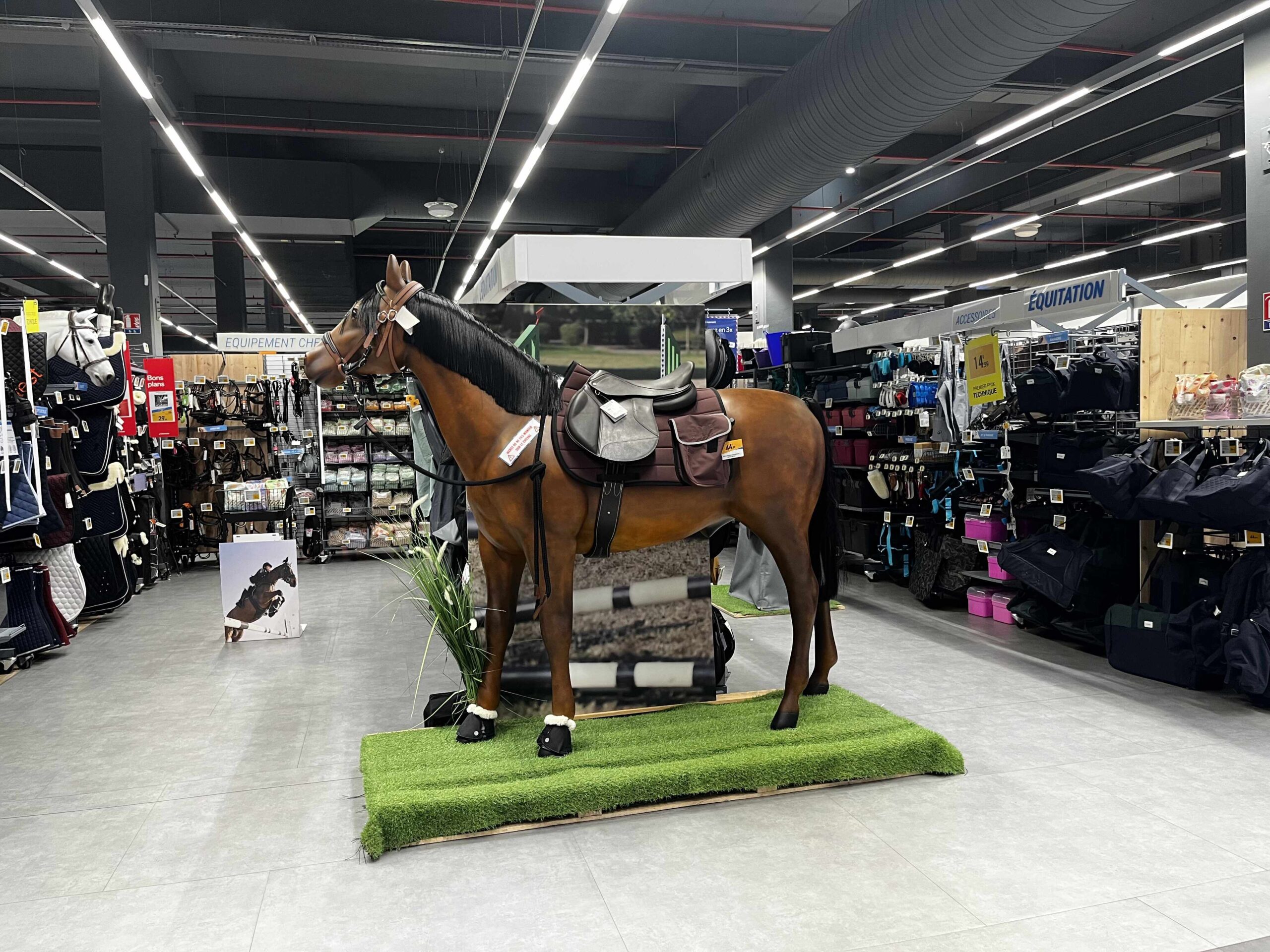 法國馬具店分享:法國哪裡可以買馬術裝備?可以退稅嗎?6間實體店面分享 1 IMG 3820