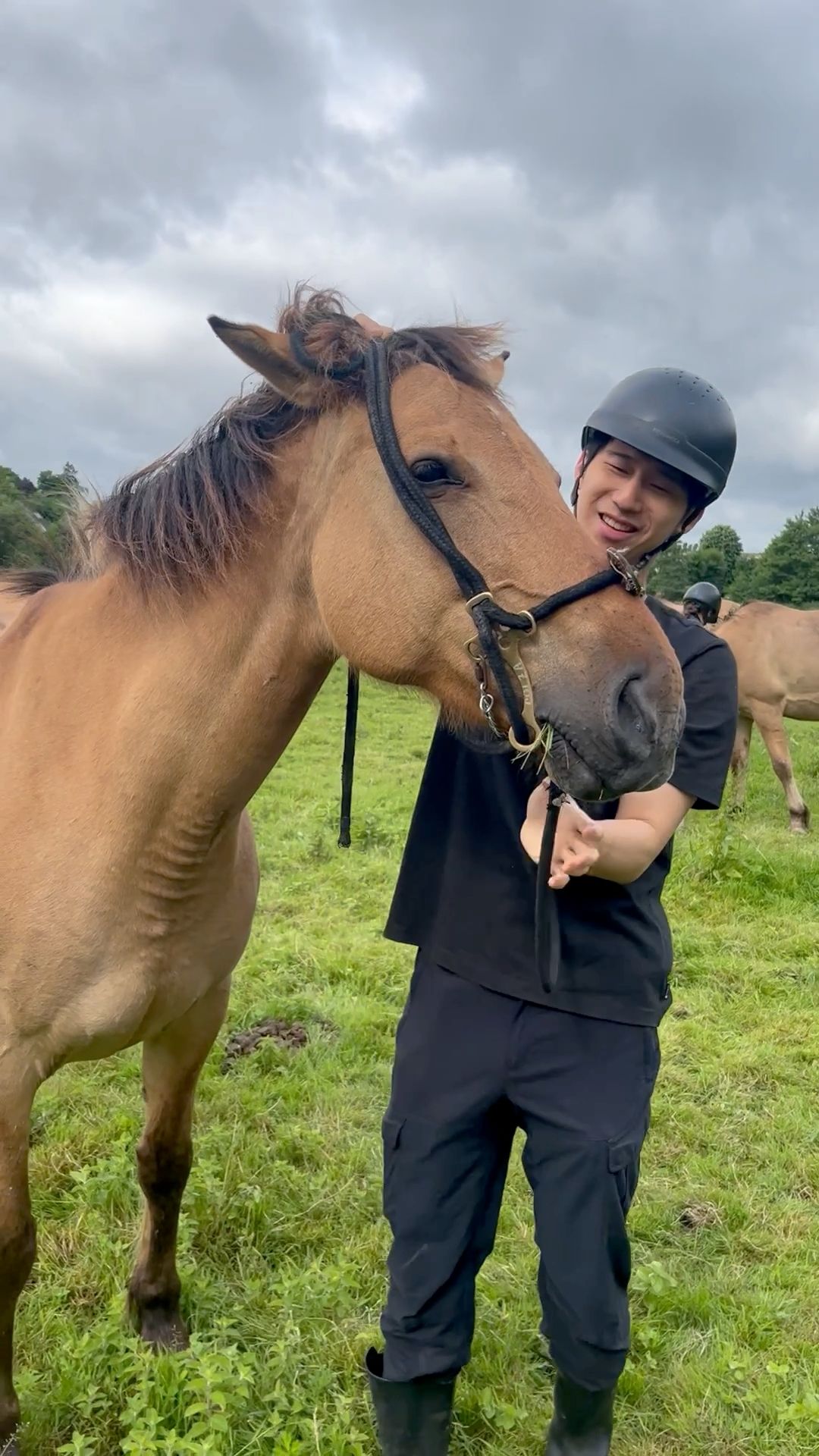 每個人要幫自己的馬套上韁繩