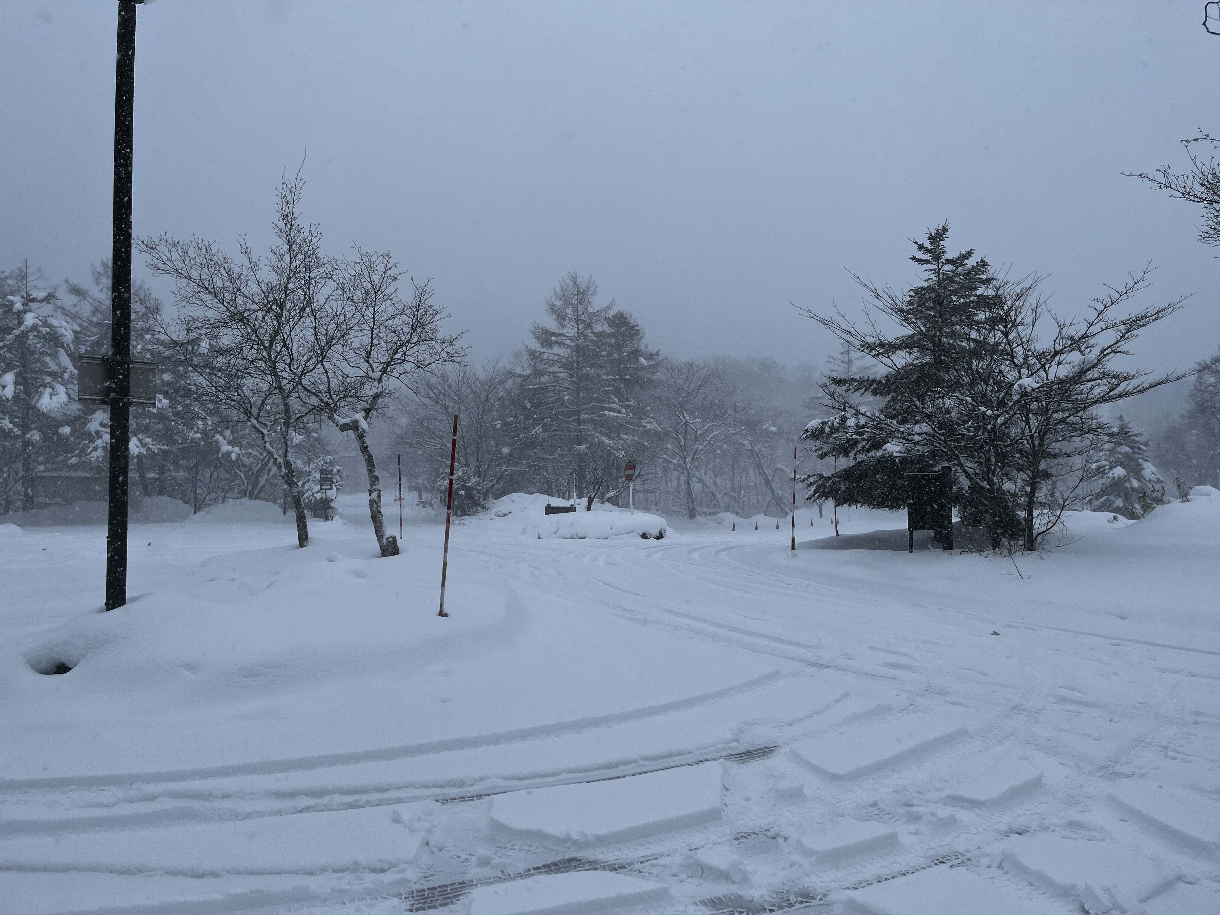福島自駕 裏磐梯冬季雪景道路 自駕旅行