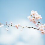 anthony delanoix urUdKCxsTUI unsplash