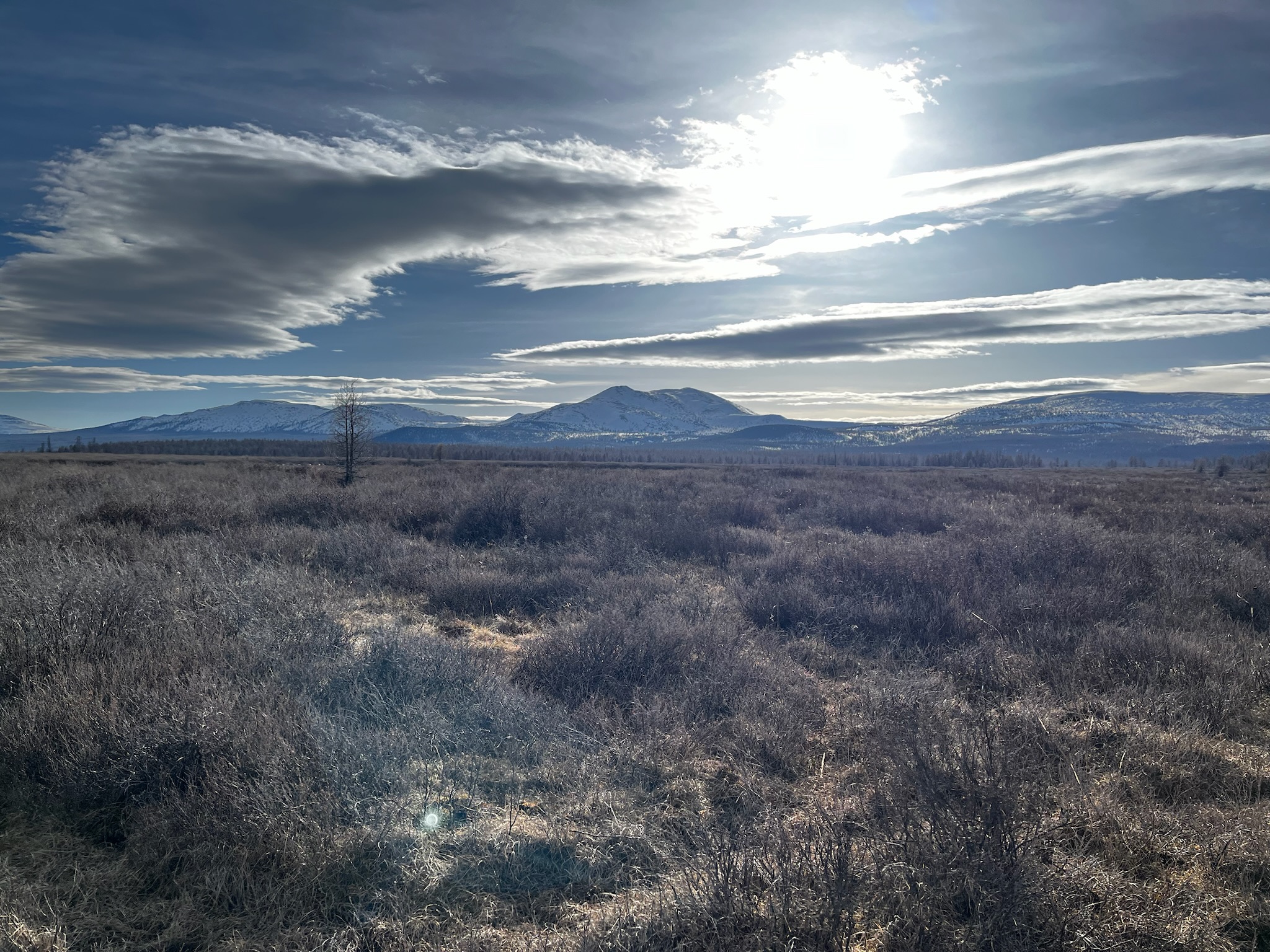 Day 2 - 騎馬5小時?!穿過邊境守衛隊終於抵達蒙俄邊境查坦人遊牧的森林 | 蒙古馴鹿部落半自助 12 尋找查坦人,路上的景色好荒涼好美