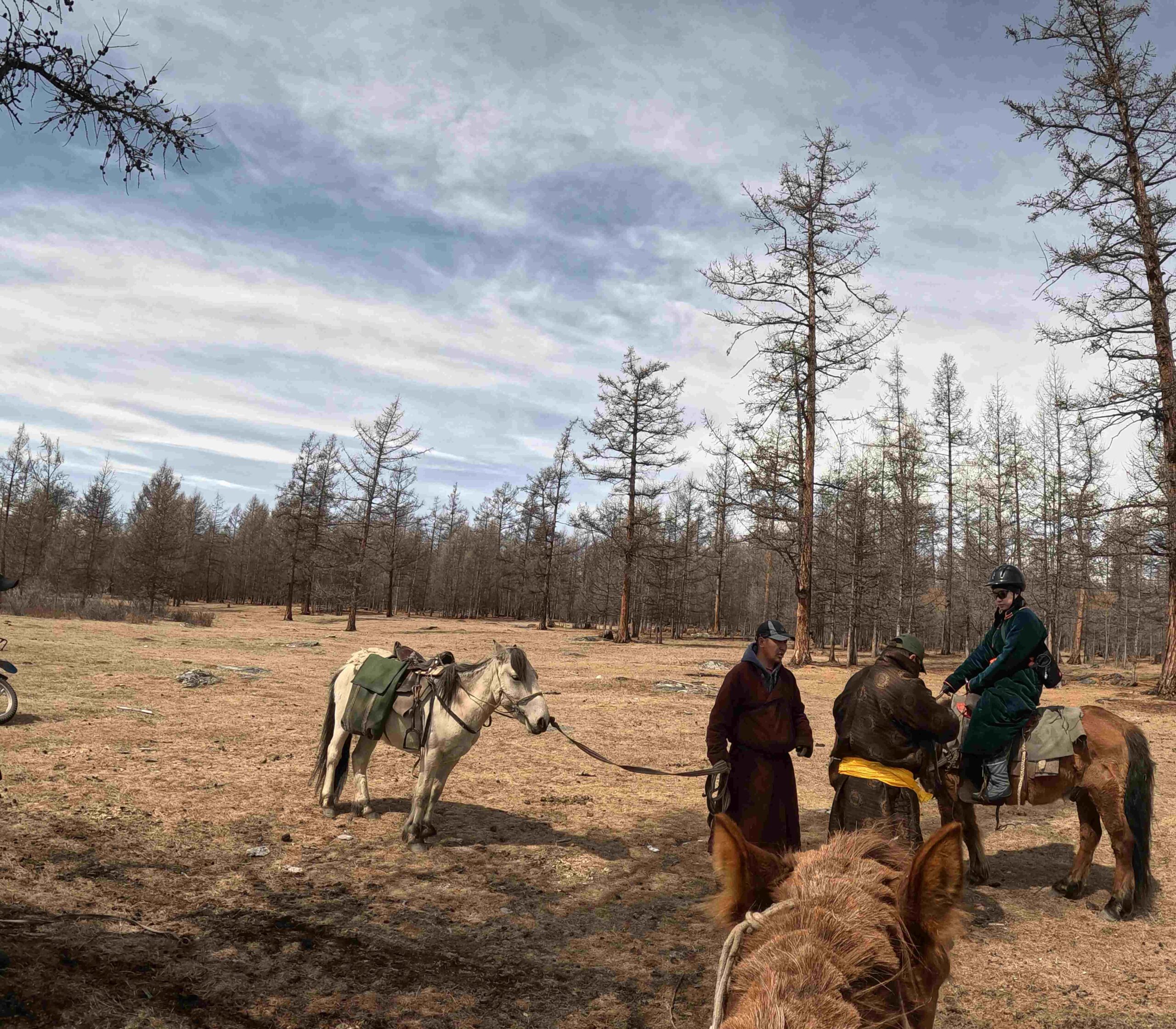 Day 2 - 騎馬5小時?!穿過邊境守衛隊終於抵達蒙俄邊境查坦人遊牧的森林 | 蒙古馴鹿部落半自助 7 準備好就上馬了