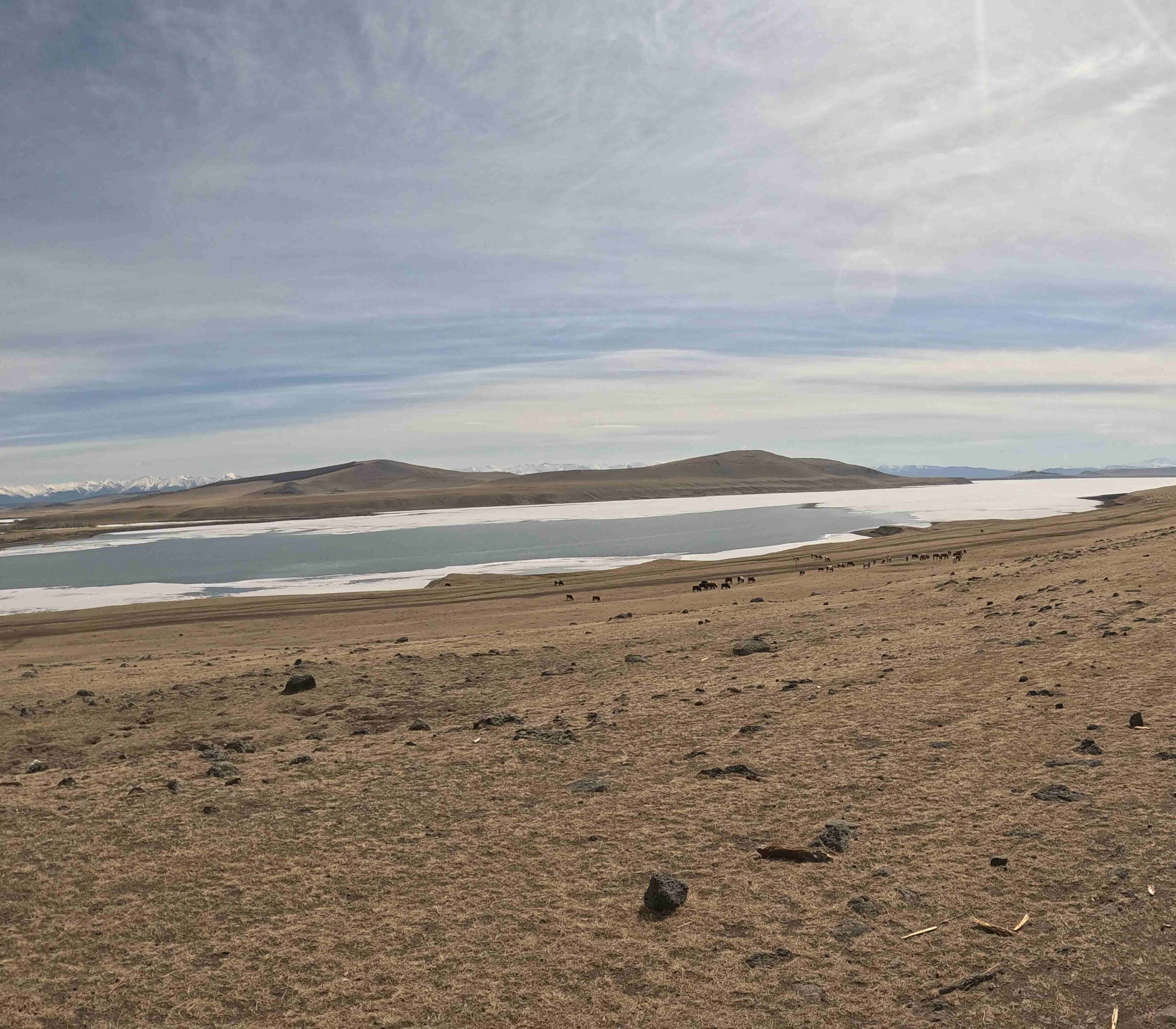 Day 2 - 騎馬5小時?!穿過邊境守衛隊終於抵達蒙俄邊境查坦人遊牧的森林 | 蒙古馴鹿部落半自助 4 E8C3CEBC 571A 4591 9A74 DAE44EBB23C6 scaled