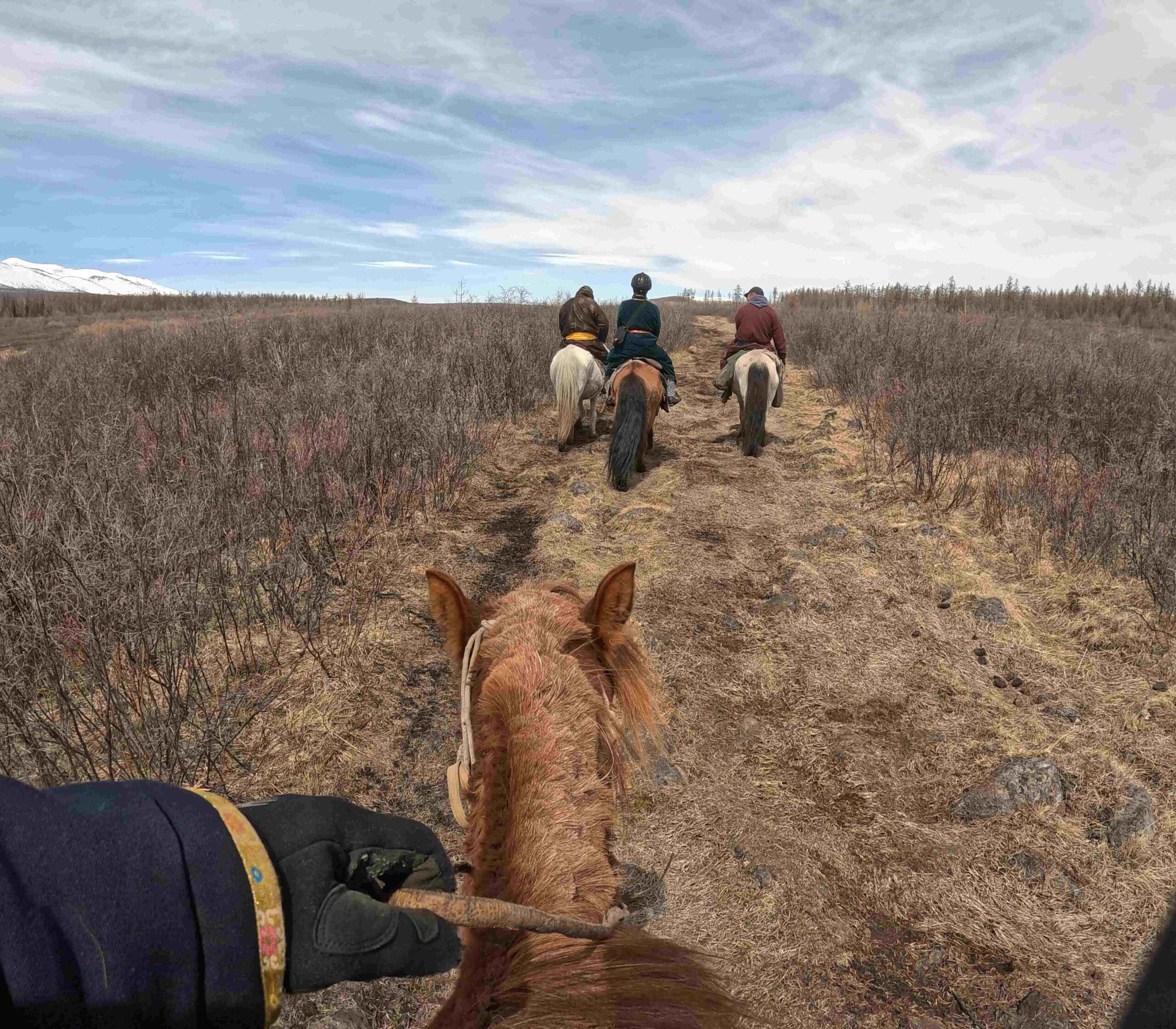 Day 2 - 騎馬5小時?!穿過邊境守衛隊終於抵達蒙俄邊境查坦人遊牧的森林 | 蒙古馴鹿部落半自助 11 Ganbaa與獵人都騎白馬,負責領隊與押後