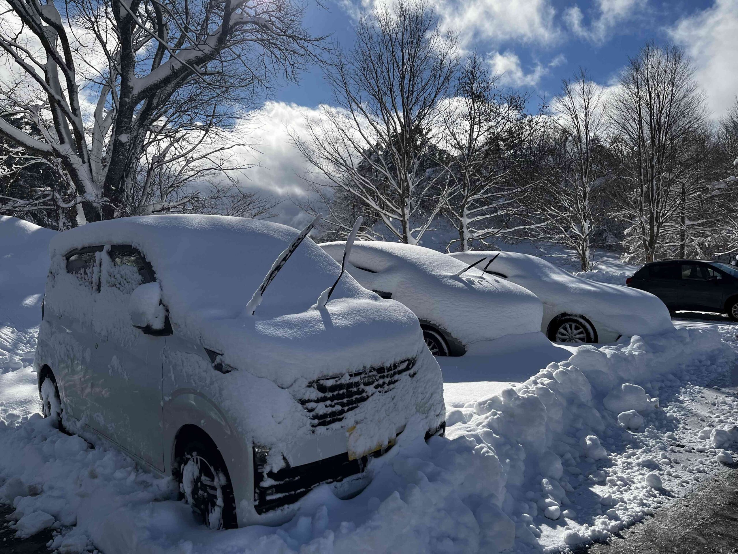 雨刷要立起來才不會結凍