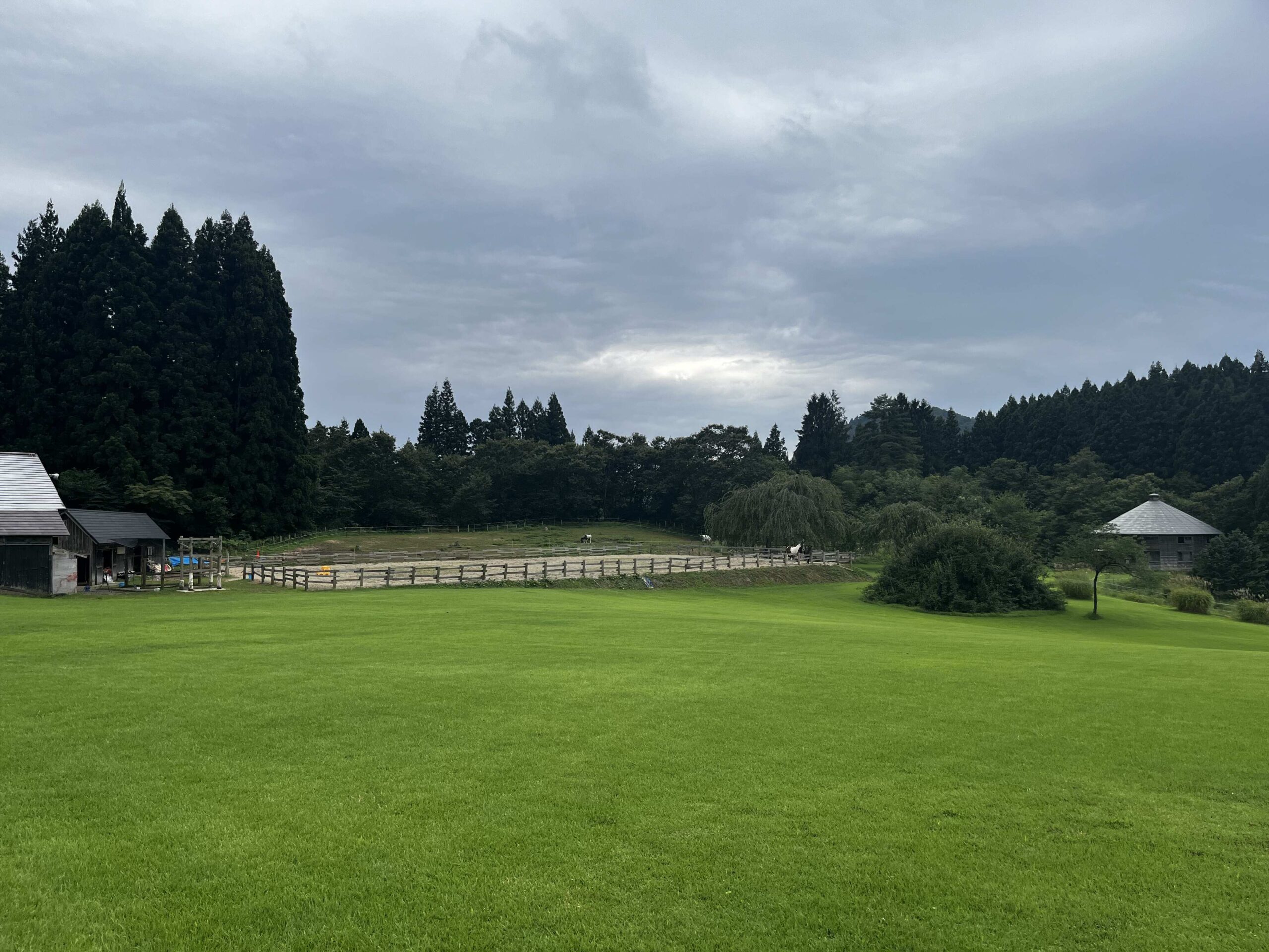 在日本的馬術治療牧場 Therapyfarm Megotama 體驗騎乘混血日本馬|2024山形縣金山町微住 2 Therapyfarm Megotama (セラピーファームめごたま)的大草原與馬廄