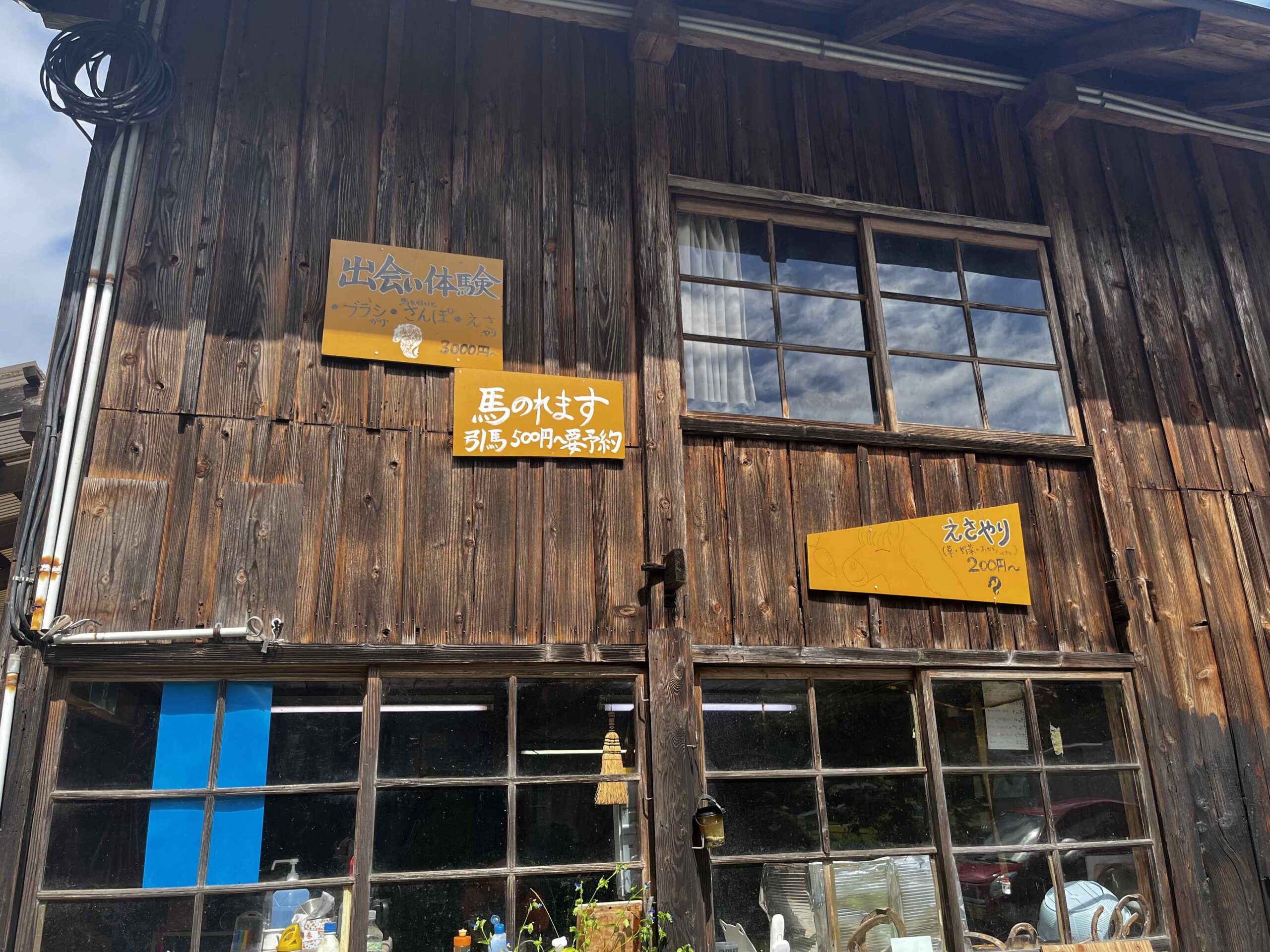 在日本的馬術治療牧場 Therapyfarm Megotama 體驗騎乘混血日本馬|2024山形縣金山町微住 4 Therapyfarm Megotama 提供包括騎馬、餵食等親近馬兒的體驗