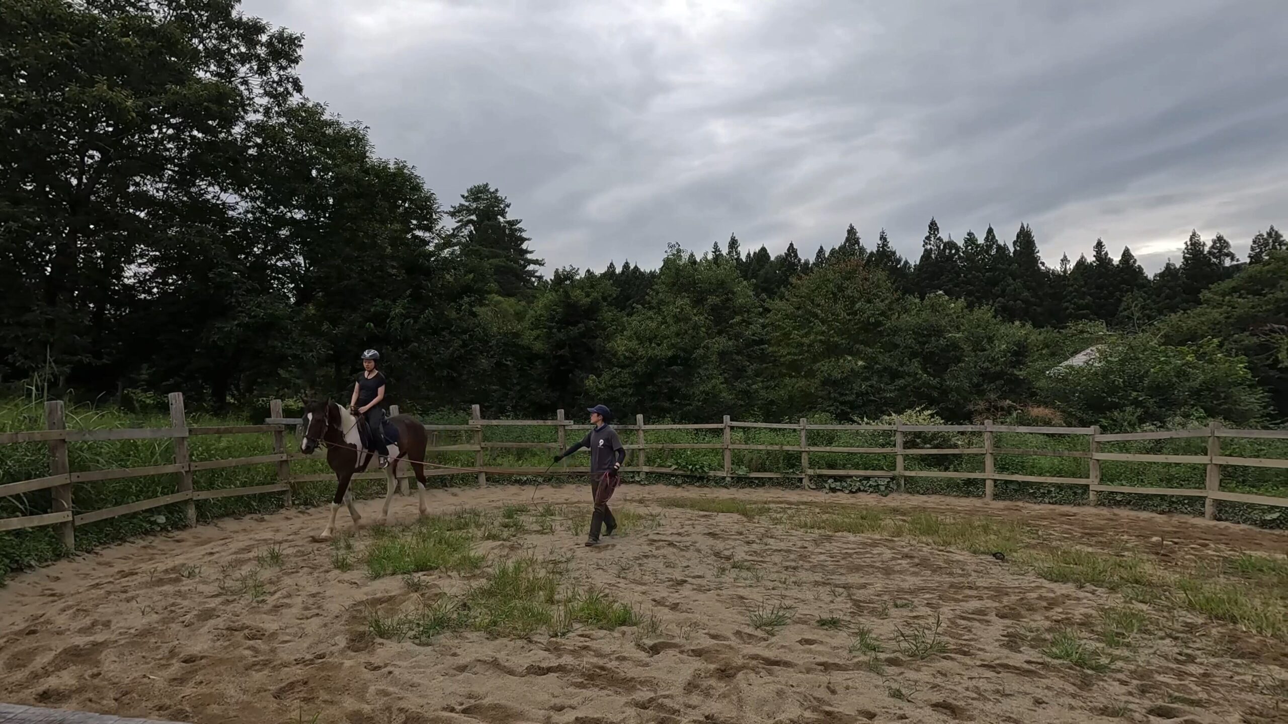 在日本的馬術治療牧場 Therapyfarm Megotama 體驗騎乘混血日本馬|2024山形縣金山町微住 5 騎乘あすてろ進行壓浪打浪的練習