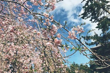 pic pimg tw lynnahui 1557305502 740537367 n jpg